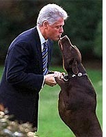 Poll-crazed Bill Clinton even polled on his dog’s name