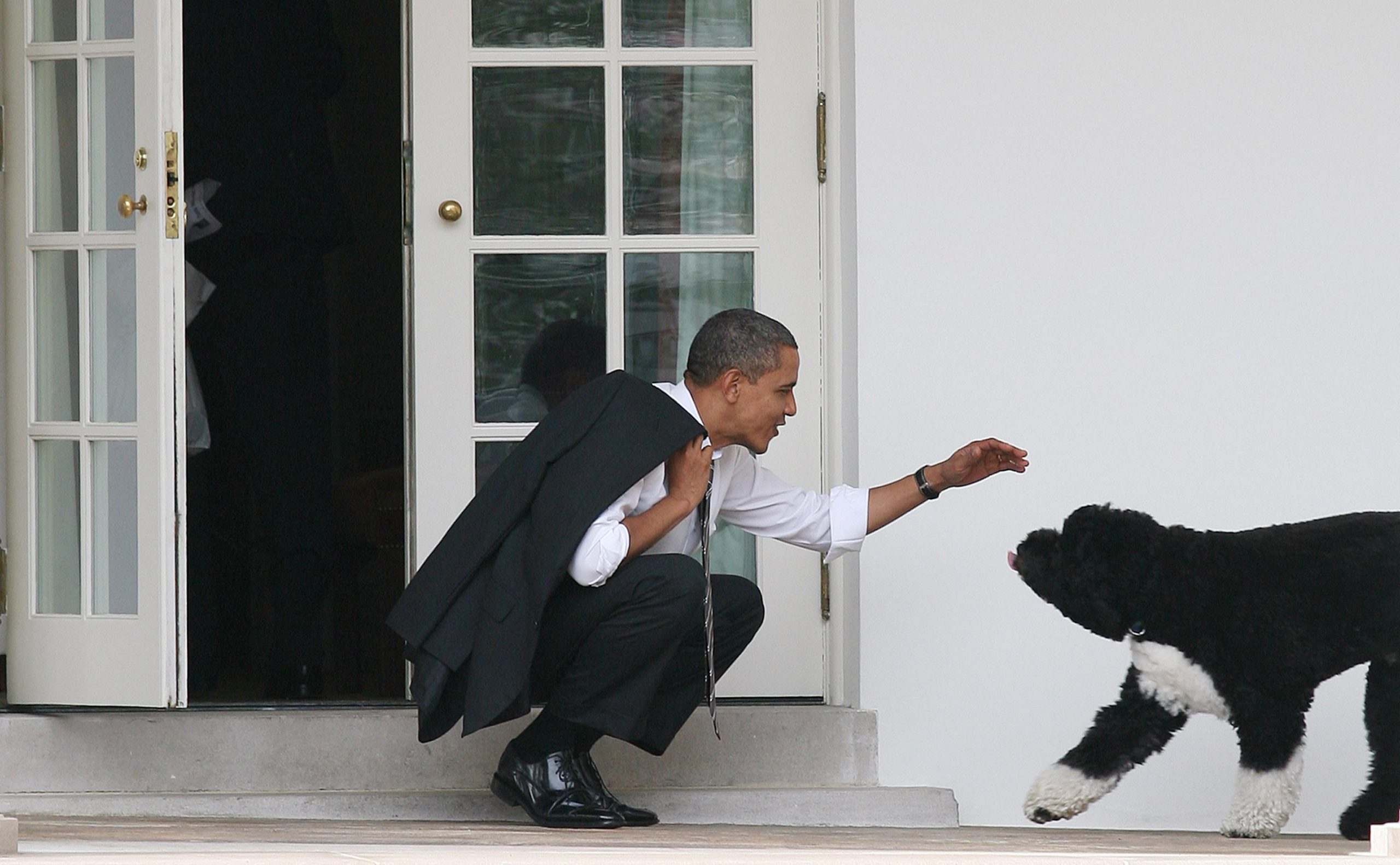 Oh no, not Bo, says critic of Obama fundraising trick
