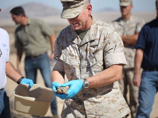Marines to spend $50M moving 1,100 turtles, $45,454 EACH