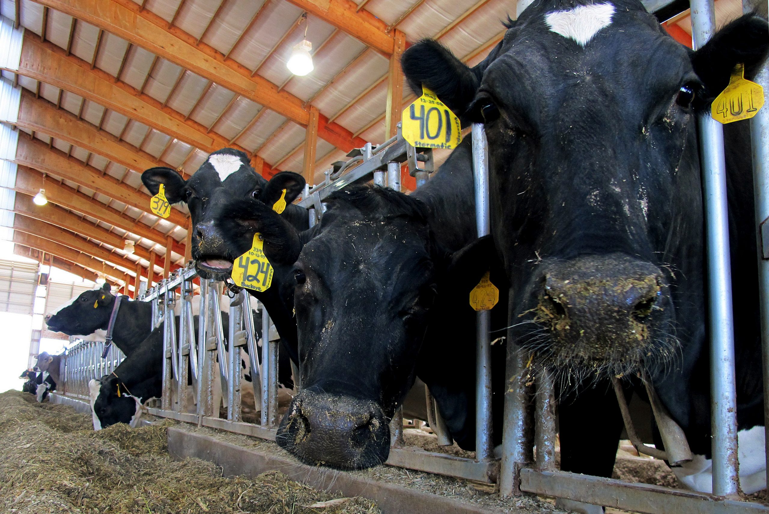 Sen. Tammy Baldwin urges caution on milk program changes