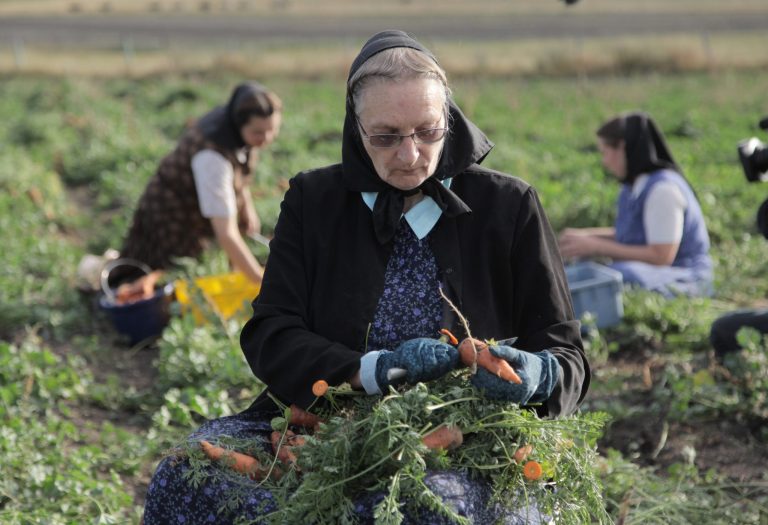   This undated image released by National Geographic Channels shows Hutterite Judy Hofer picking carrots from the garden in King Colony, Mont. 