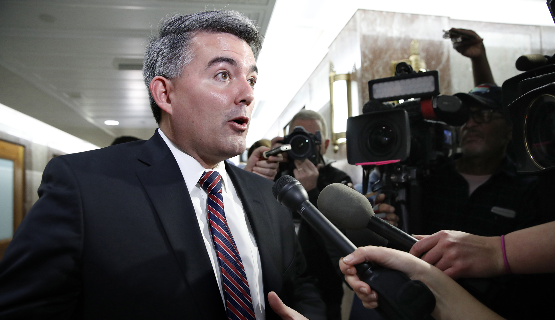 ‘Skinny’ immigration plans are piling up in the Senate