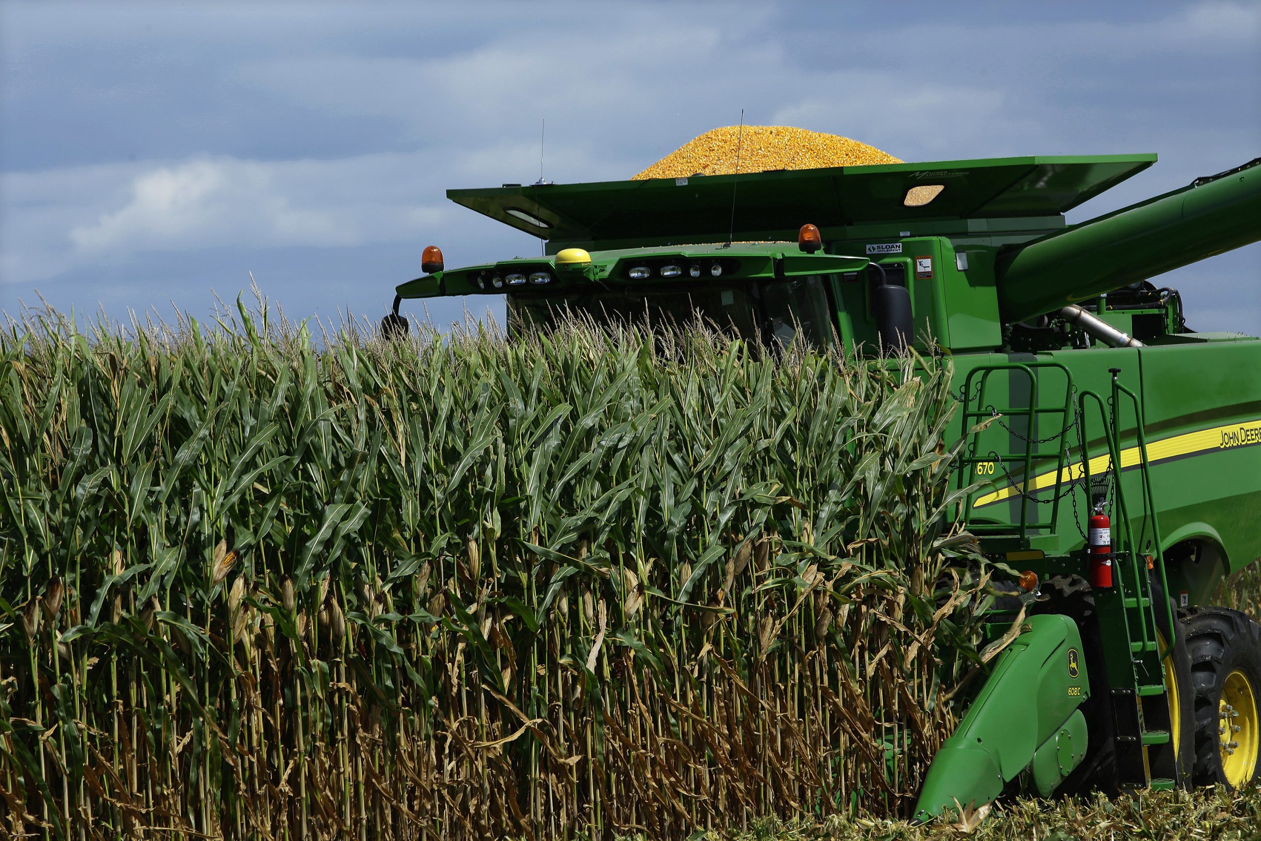 USDA: Rain, cold hampering Illinois corn harvest
