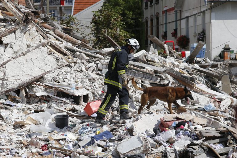 A French fireman and his dog search in the rubble of a building after an explosion collapsed it, in Rosny-sous-Bois, outside Paris, Sunday, Aug. 31, 2014. French authorities say a four-story building in a northeastern Paris suburb has collapsed after an explosion, killing a child. More people are thought to underneath the rubble. Speaking on i-Tele, fire department spokesman Gabriel Plus said around 10 people were evacuated from the building in Rosny-sous-bois that occurred early Sunday morning. Plus said that around another 10 people could still be underneath the rubble, and emergency teams were working hard to rescue people who might be trapped. 