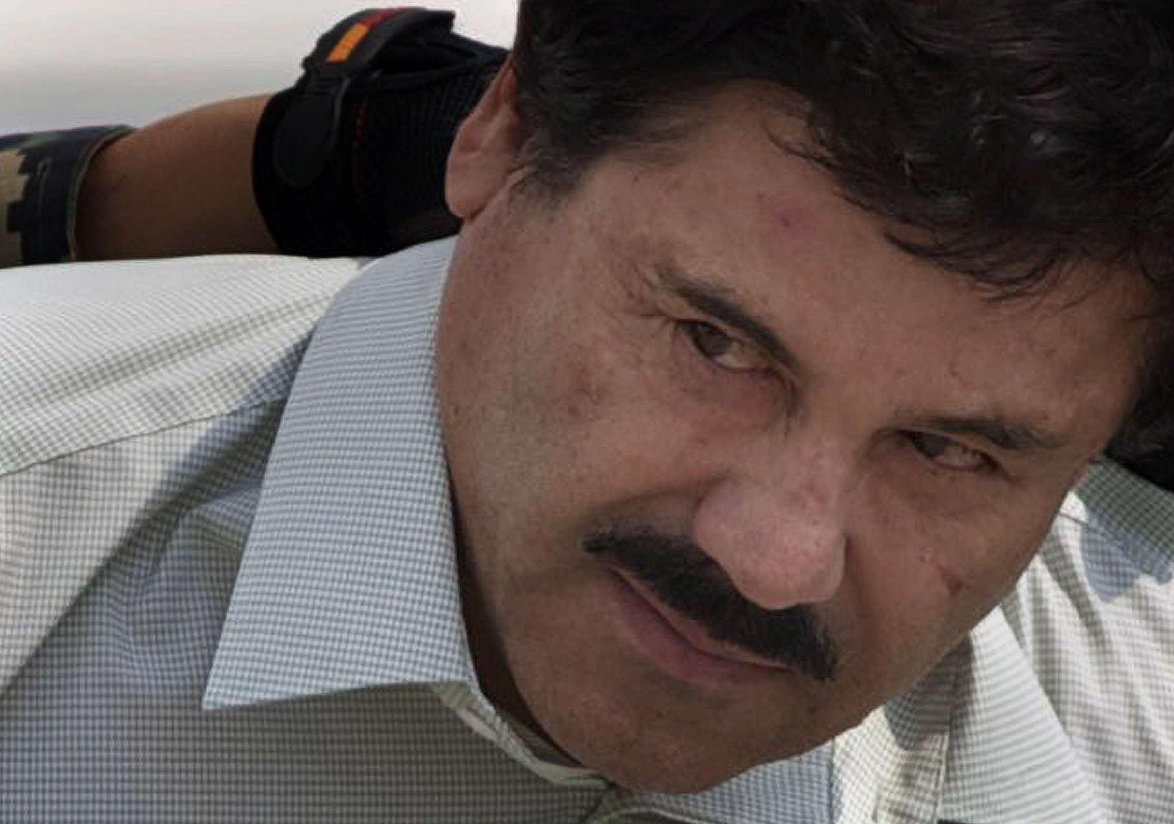 Top Mexico cartel to keep on despite capo capture