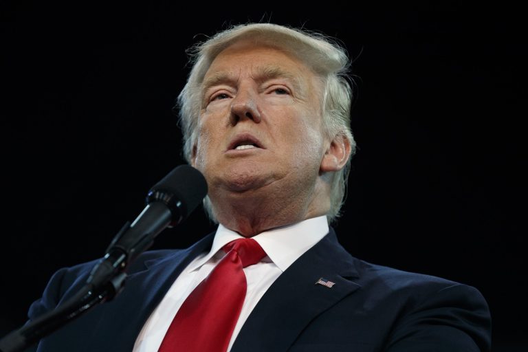 Republican presidential candidate Donald Trump speaks during a campaign rally in Erie, Pa. (AP Photo/Evan Vucci)