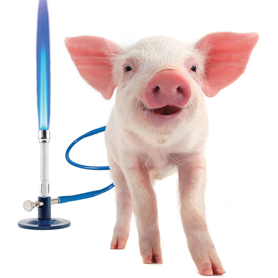 NYT: Lather, Rinse, Repeat