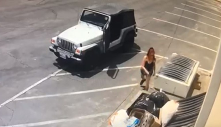 A woman is seen throwing puppies near a dumpster.