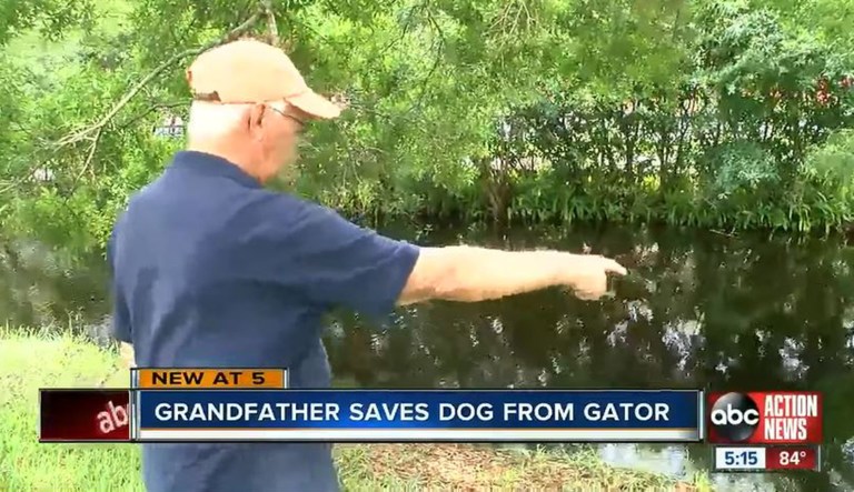 Buddy Ackerman, a Florida man who saved his dog, Osi, from an alligator, points to a nearby area.
