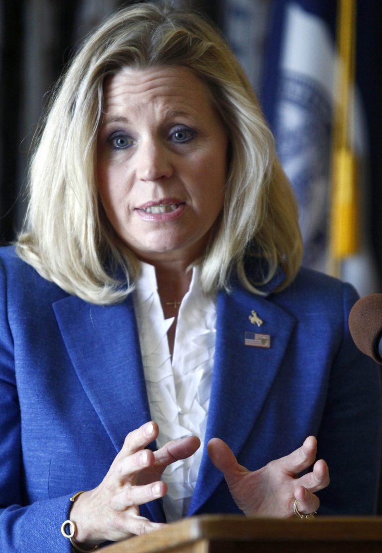 FILE - In this July 17, 2013 file photo, Liz Cheney speaks during a campaign appearance in Casper, Wyo. Published reports citing anonymous GOP insiders say Liz Cheney, the daughter of former U.S. Vice President Dick Cheney, plans to quit the Republican Wyoming Senate primary and abandon her effort to unseat incumbent Sen. Mike Enzi. Cheney moved her family from Virginia to Wyoming to run for the seat. Her effort to replace Enzi, a Senate veteran, angered and upset many Republicans and her campaign has faced a number of problems. (AP Photo/Matt Young, File)