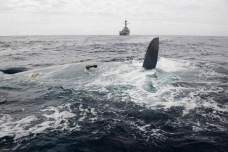 In this photo provided by the United States Navy, the overturned hull of the Cheeki Rafiki is shown as discovered by a U.S. Navy warship approximately 1,000 miles east of Cape Cod, Mass., Friday, May 23, 2014. The warship located the overturned hull of the British yacht that went missing last week in the middle of the Atlantic Ocean, officials said the search for any survivors will conclude on Friday evening. (AP Photo/U.S. Navy)