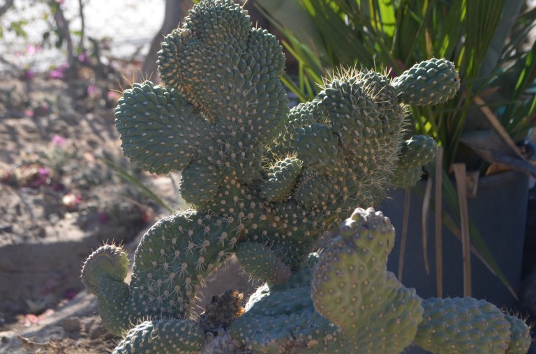 Border Bike Trip Day 9: Flat Tires and a Crushed Bike
