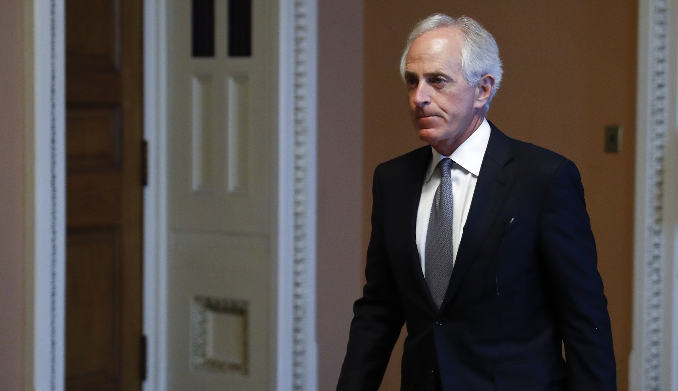 Sen. Bob Corker could face conservative primary challenger