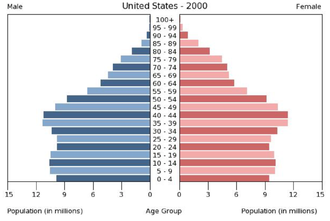 Age Distribution 2000