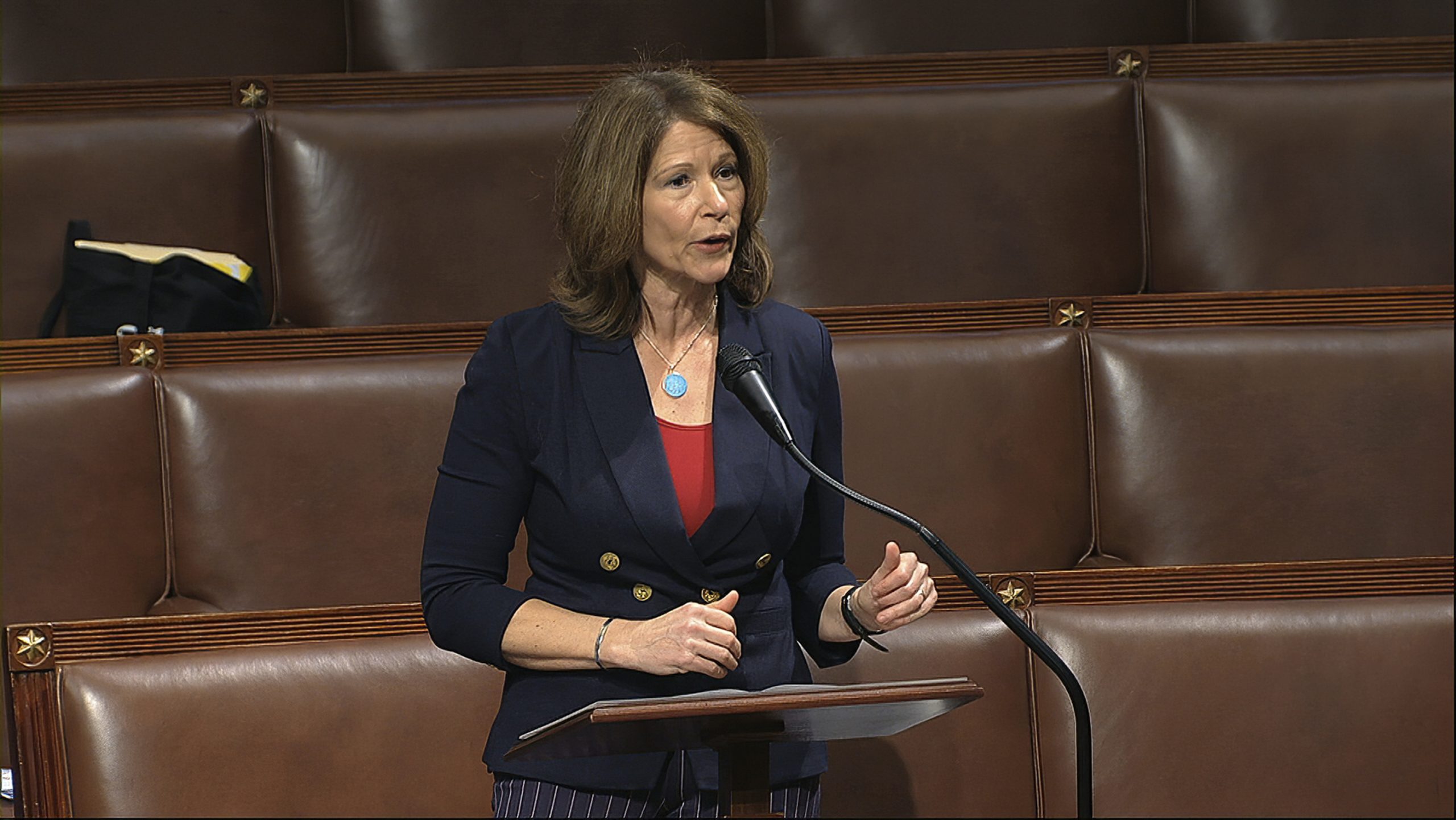DCCC chairwoman stepping down after House Democrats lose seats in 2020 election