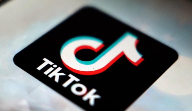 TikTok CEO goes on lobbying blitz as lawmakers consider banning popular app