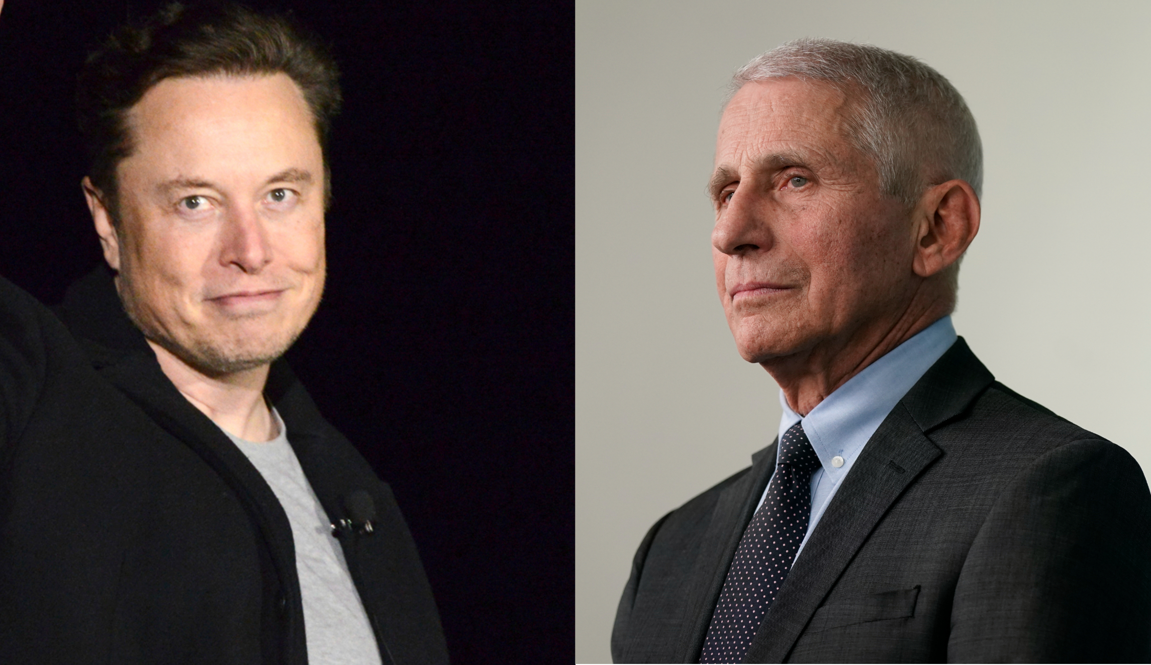 ‘Cesspool of misinformation’: Fauci snaps back at Elon Musk call for prosecution