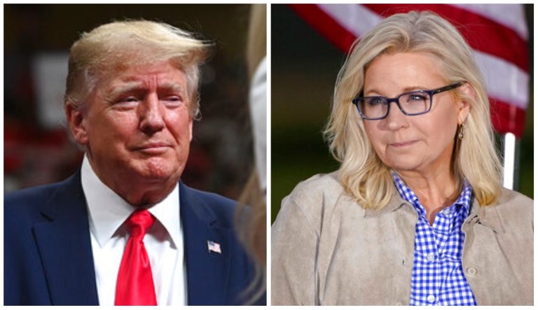 Donald Trump, Liz Cheney.