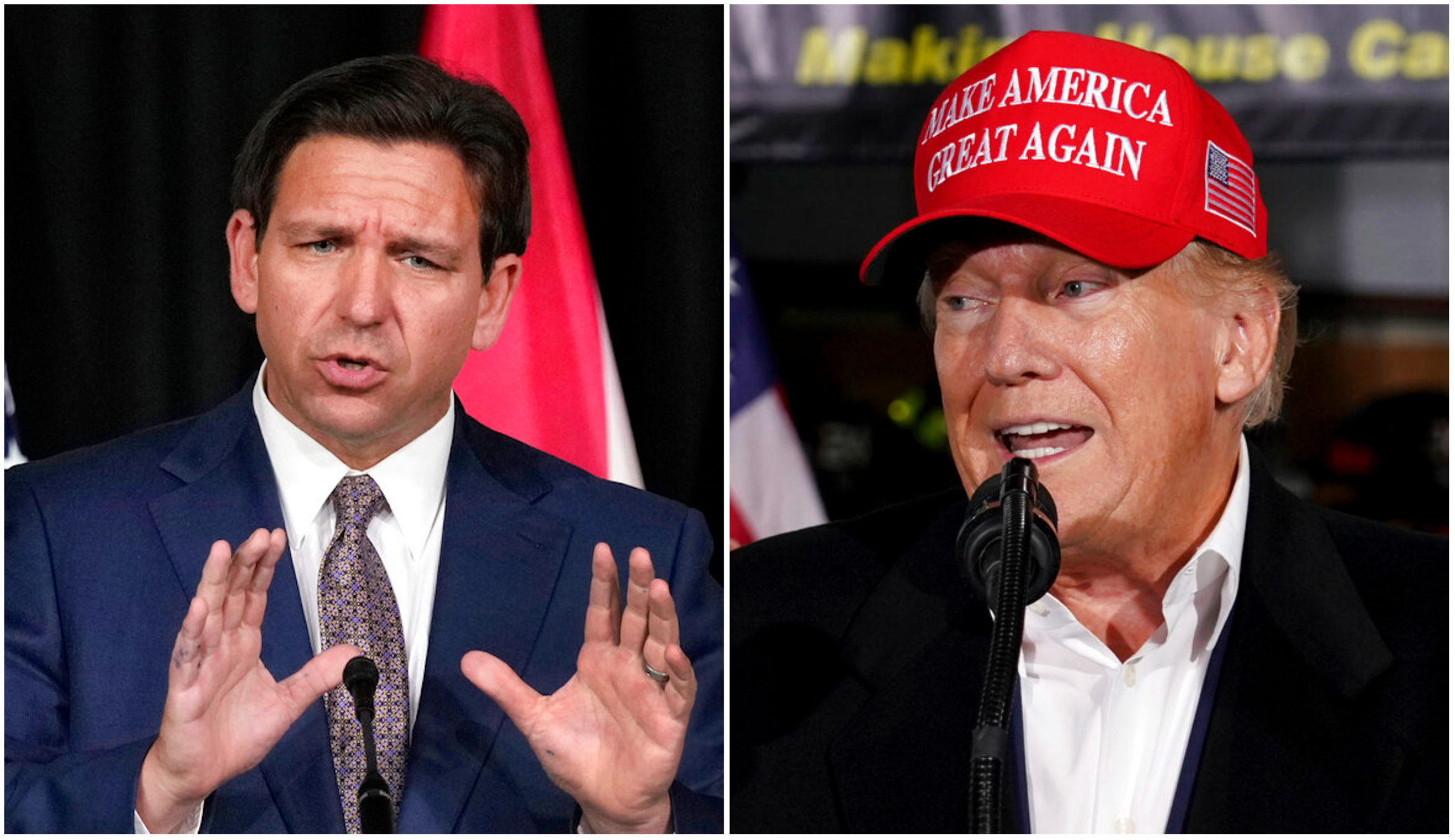 Trump and DeSantis diptych