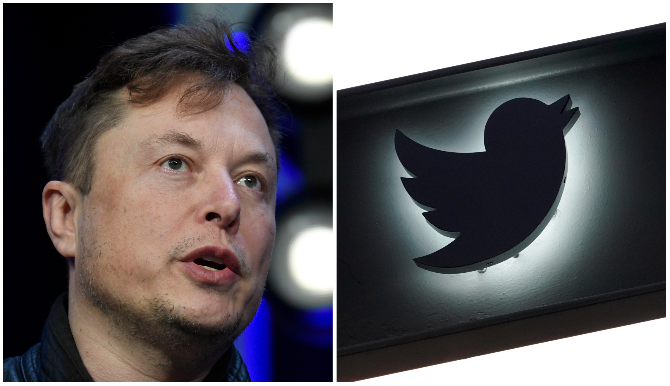 Musk to appoint new Twitter CEO by end of 2023 after company finances stabilize