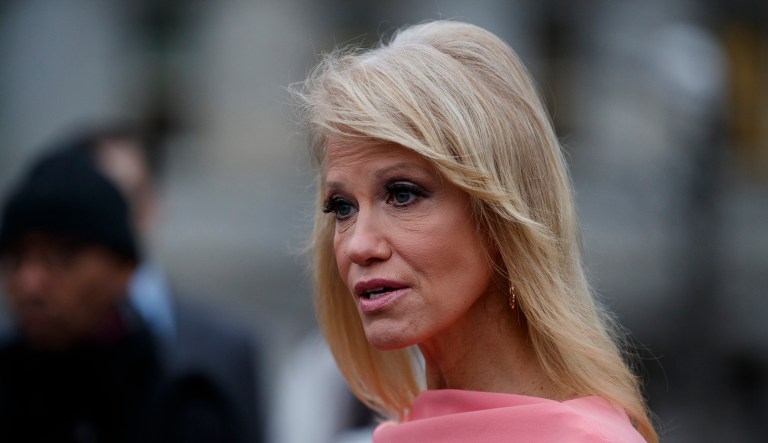 White House senior adviser Kellyanne Conway speaks to reporters about the government shutdown outside the White House, Thursday, Jan. 3, 2019, in Washington.