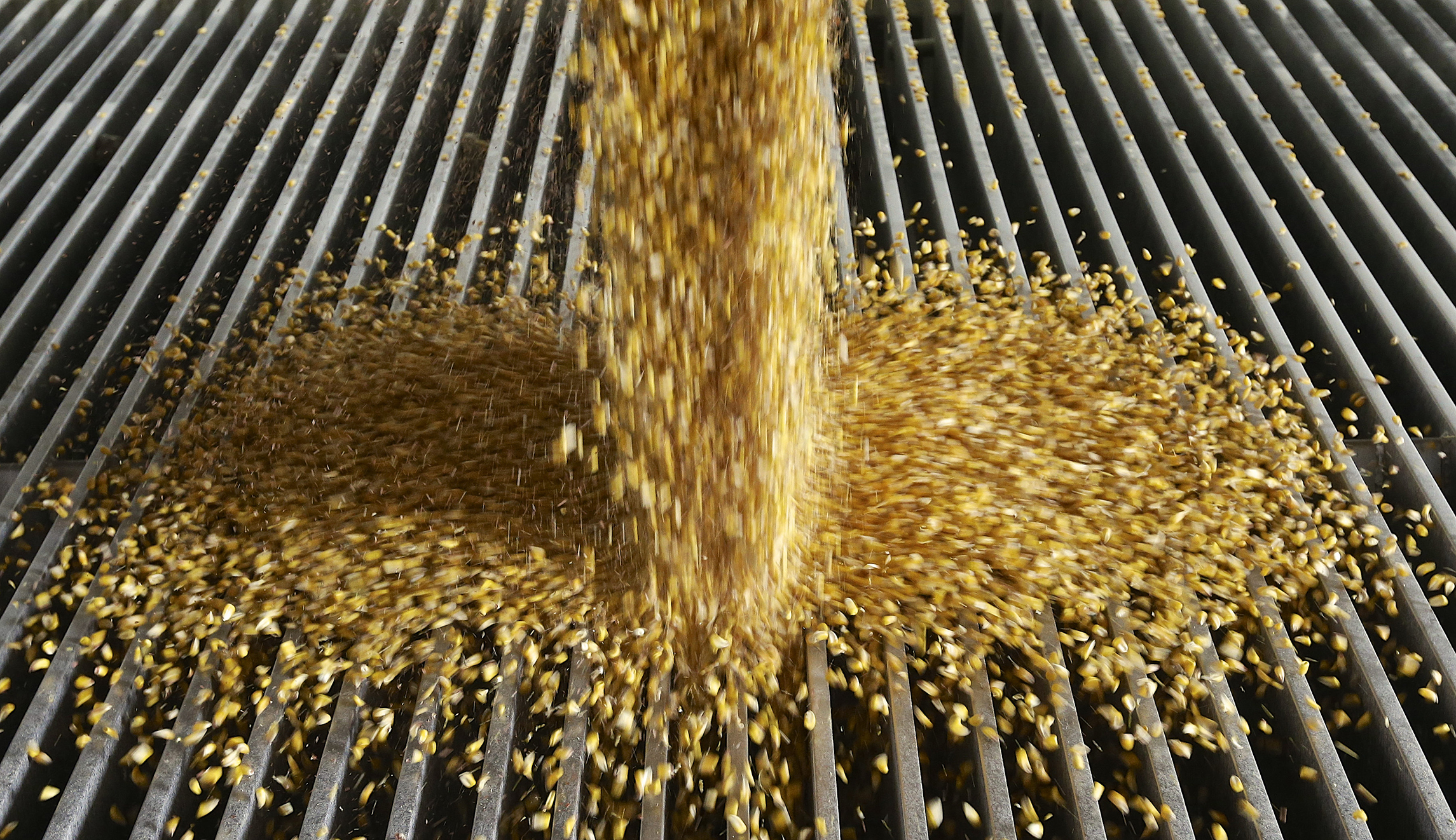 The Washington swamp is filled with ethanol