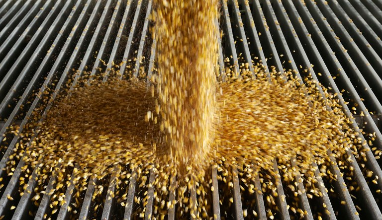 EISA and the Renewable Fuel Standard had no impact on gasoline prices or climate change. (AP Photo/Nati Harnik)