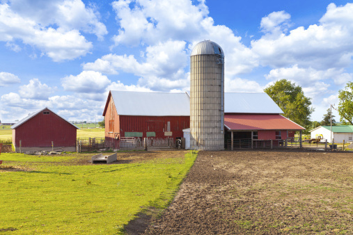 Farm subsidies often amount to a form of welfare for the rich. (Photo: Thinkstock)