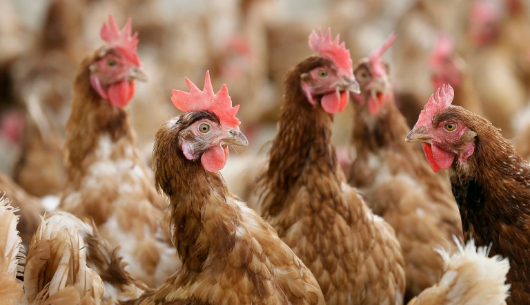 It's about competitiveness. (AP Photo/Charlie Neibergall)