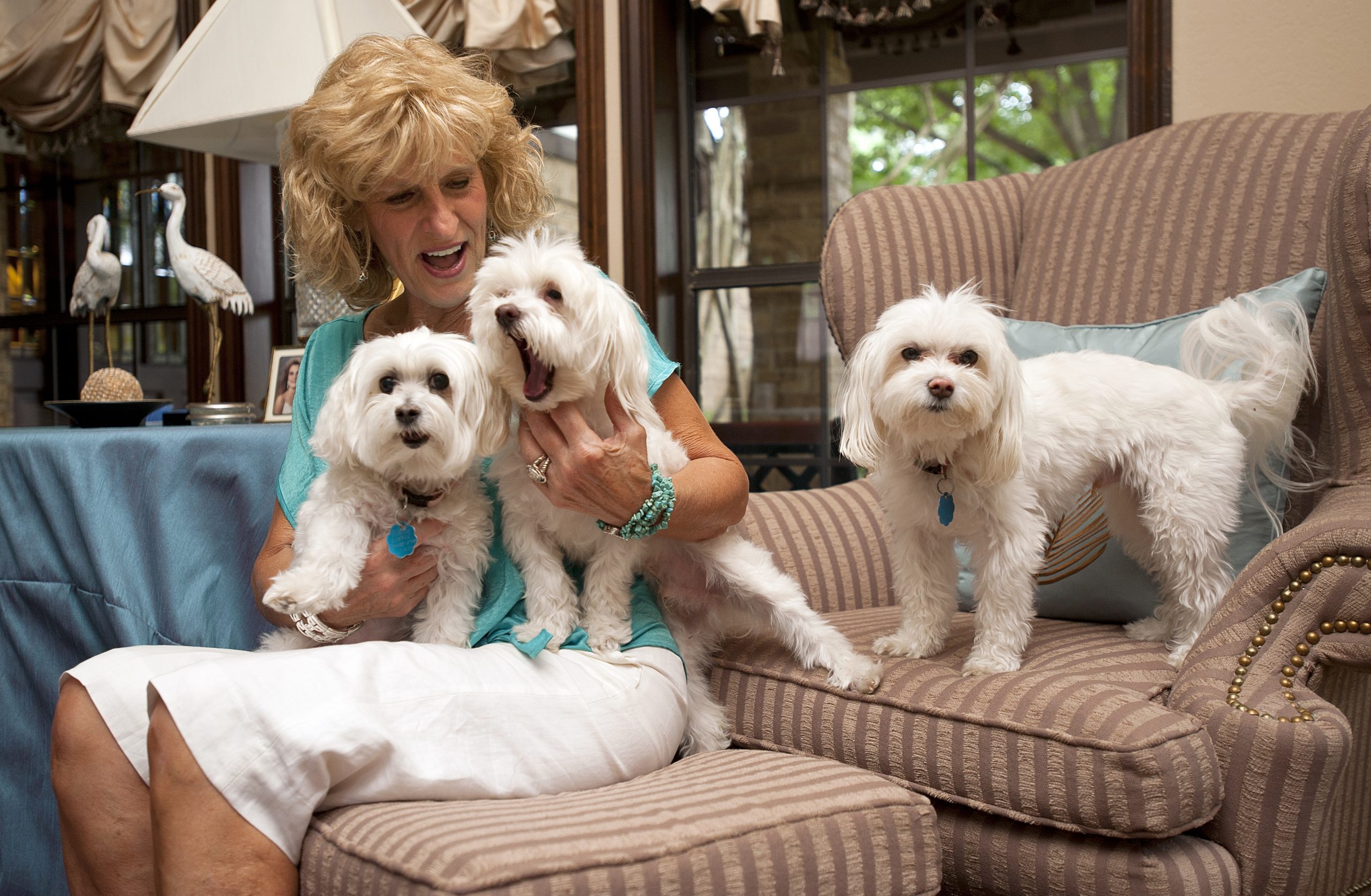 Texas family’s dog found in Washington, returned