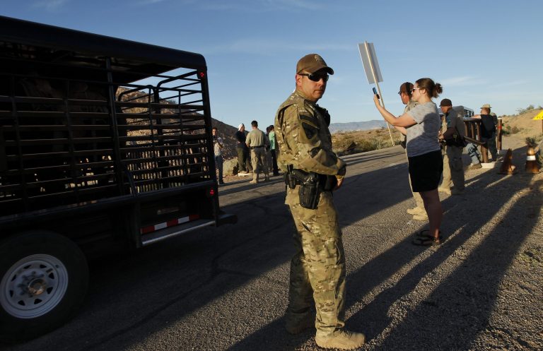 Federal law enforcement officers guard a convoy of cattle at the Lake Mead National Recreation Area near Overton, Nev. Thursday, April 10, 2014. Two people were detained while protesting the roundup of cattle owned by Cliven Bundy on the road. (AP Photo/Las Vegas Review-Journal, John Locher)