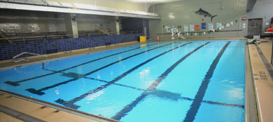 New York City Human Rights Commission Unfairly Targets Jews