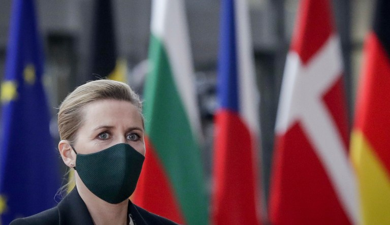 Denmark to kill up to 17M minks to stop spread of mutated coronavirus