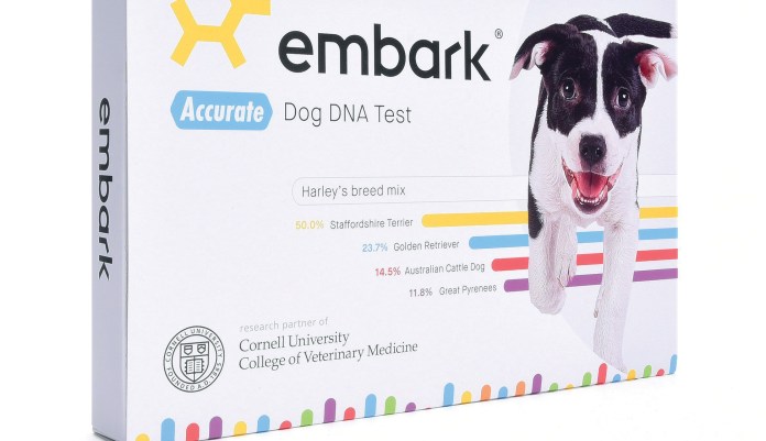 Digging up your dog’s bones