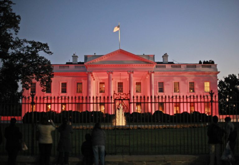 The White House in Washington is bathed in pink light Thursday, Oct. 24, 2013, in recognition of Breast Cancer Awareness Month. White House spokesman Jay Carney says more than 230,000 women will be diagnosed with breast cancer this year, and thousands die from the disease. (AP Photo/Pablo Martinez Monsivais)