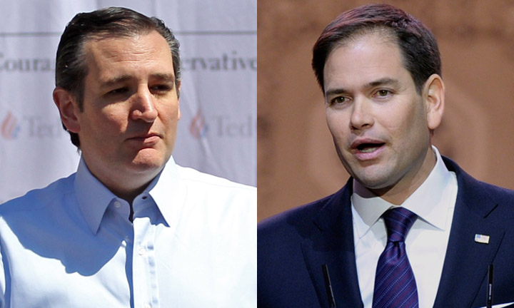 Cruz: Rubio has ‘consistently been wrong on foreign policy’