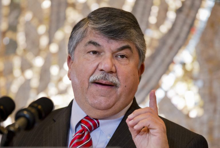 AFL-CIO President Richard TrumkaÂ praised President Obama's executive order on immigration, saying the president was acting within his authority to better the nation's 