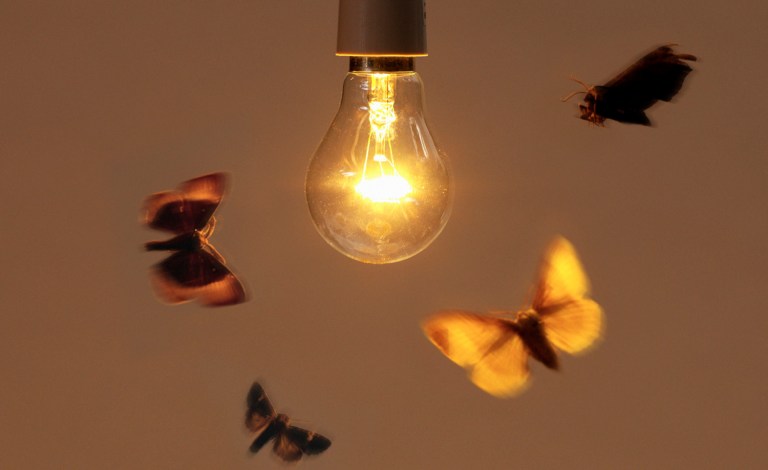 That report said the National Park Service awarded a $65,473 grant so a study could be done on how bugs react when people turn on the lights. (iStock photo)