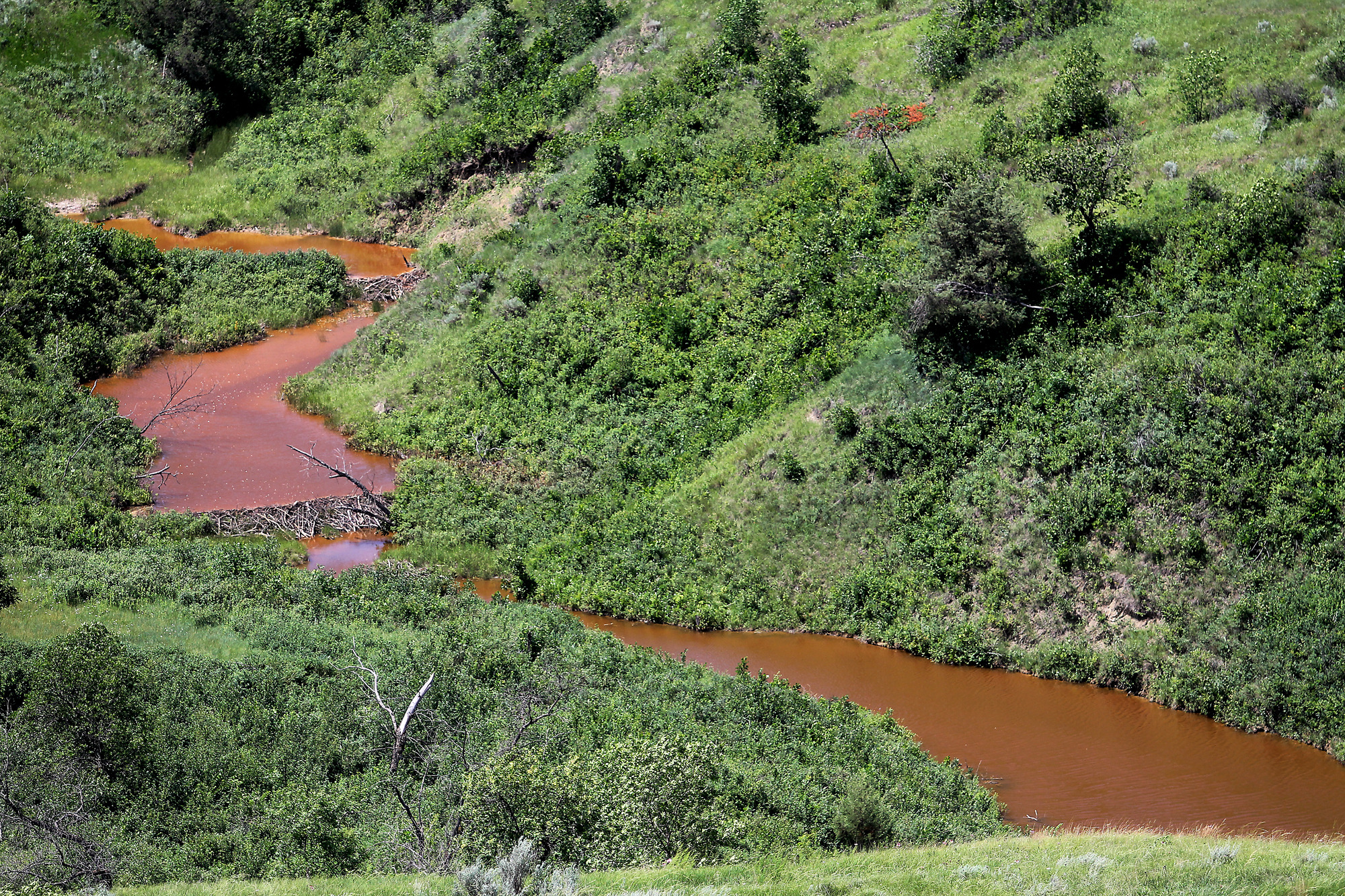 Near spill, reservation wrestles with oil’s impact