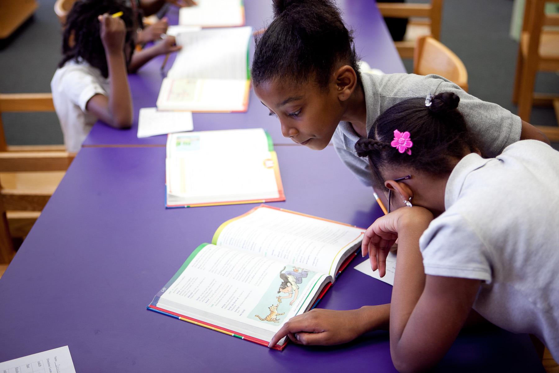 Gray slams council bill requiring school librarians