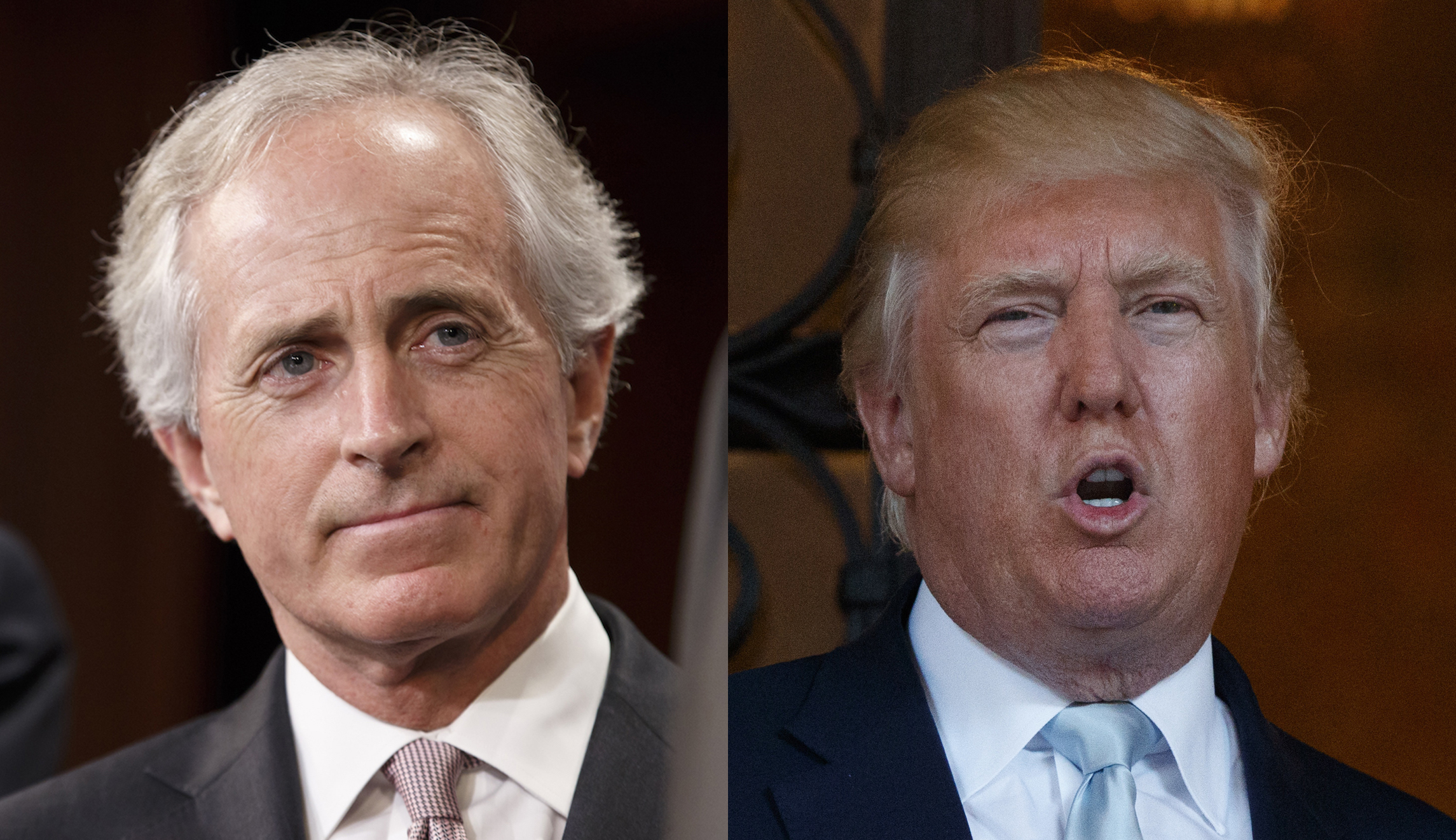 Bob Corker: Trump tariffs ‘an abuse of authority’