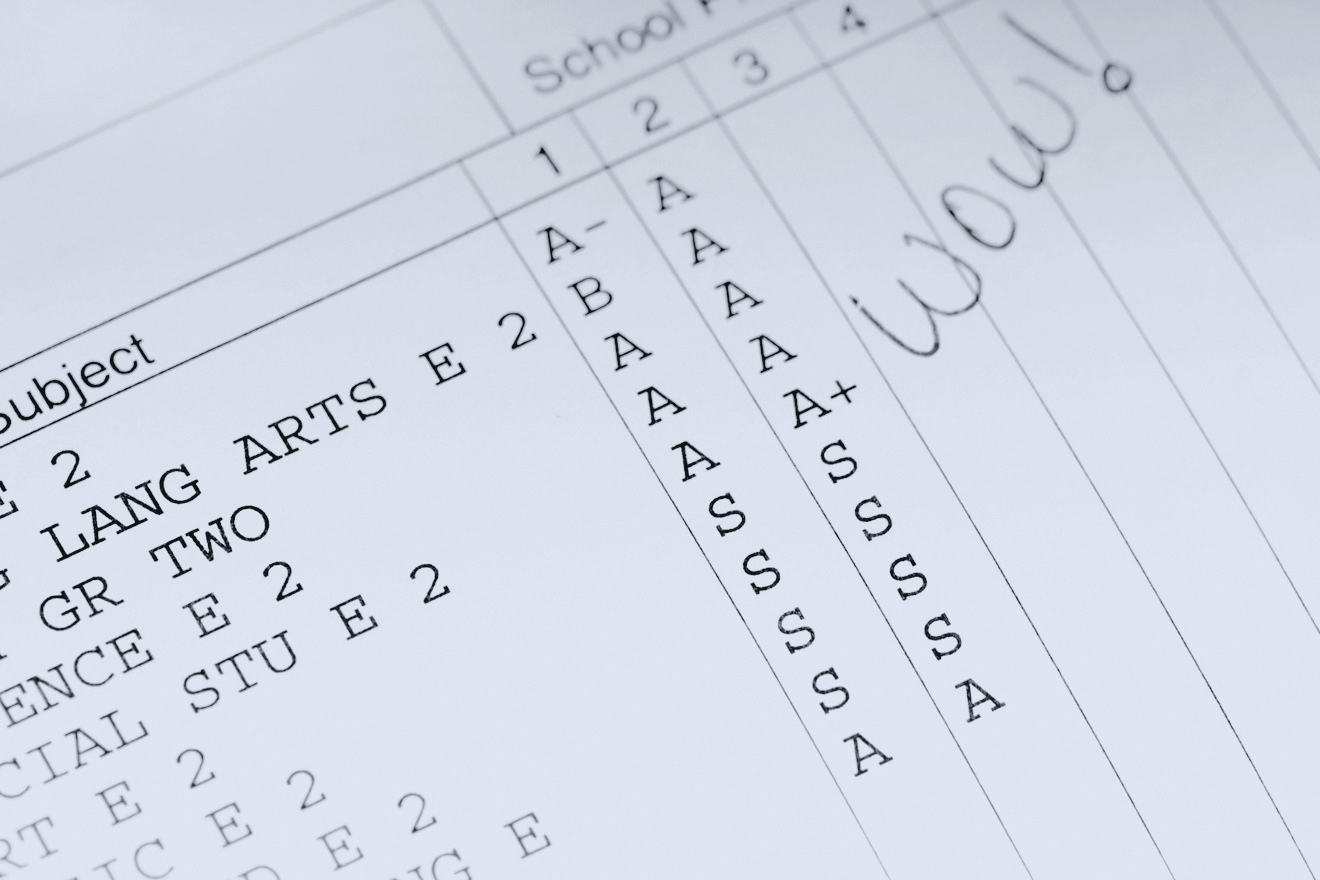 The Suicide of Meritocracy