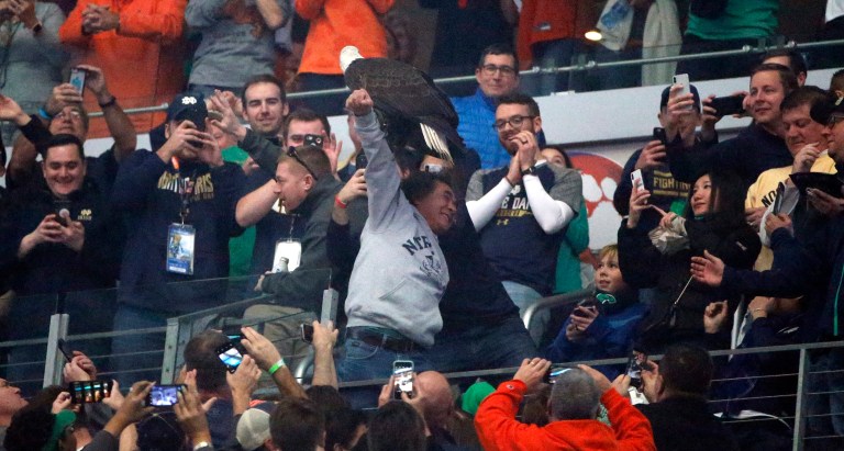 FILE - This Jan. 5, 2020, file photo shows a bald eagle in Philadelphia. A bald eagle in Southern California has laid a second egg in a nest watched by nature lovers via an online live feed. The egg appeared Saturday evening, Feb. 22, 2020, in a tree overlooking Big Bear Lake east of Los Angeles. The first egg was laid last Wednesday.