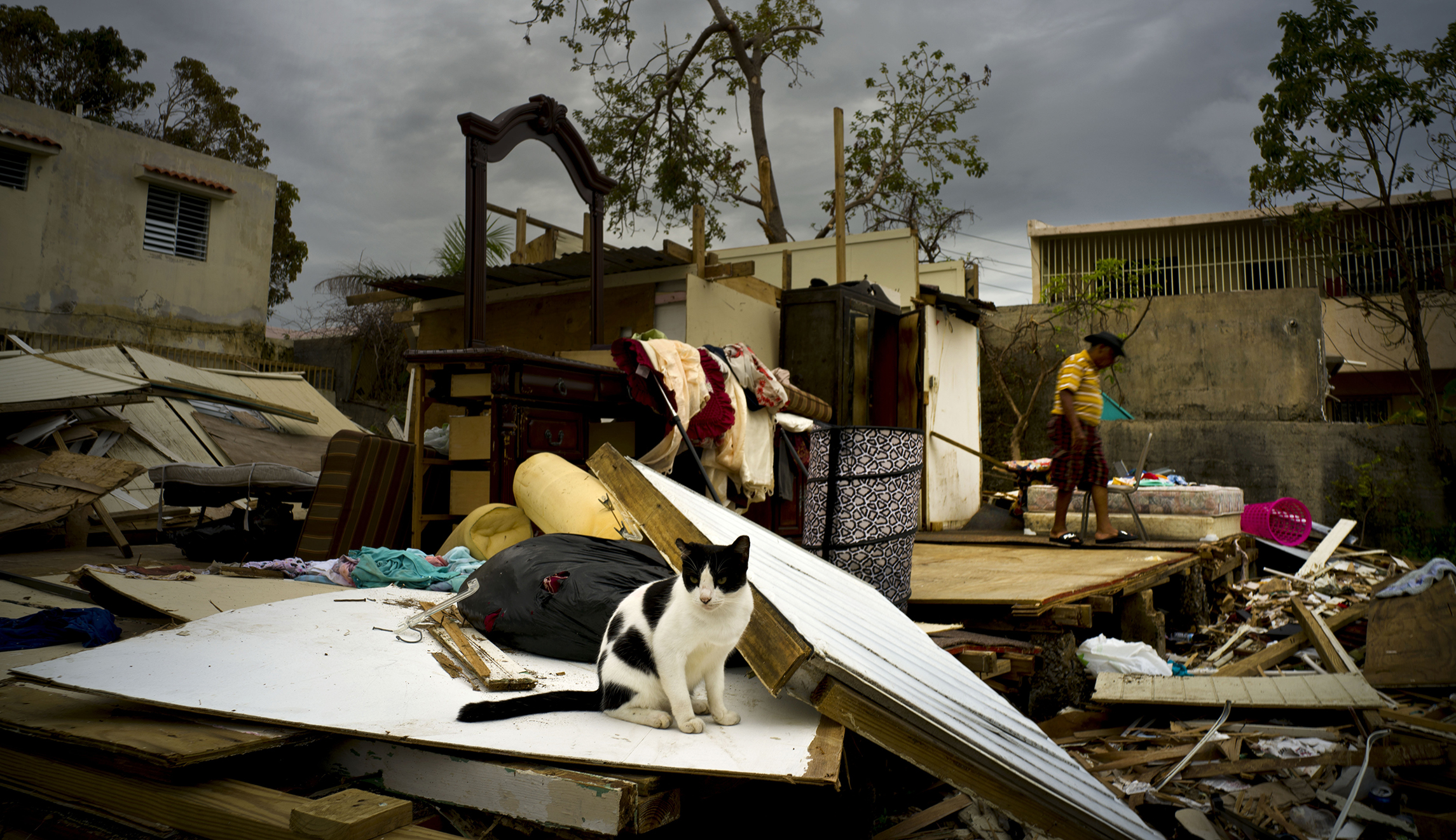 White House seeks $4.9 billion loan to ease cash crisis in Puerto Rico