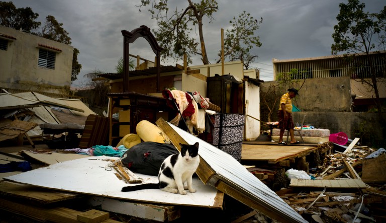 The Trump administration has asked Congress to approve a $4.9 billion loan to Puerto Rico, which would likely be used to help keep the island territory in the black through the rest of the year. (AP Photo/Ramon Espinosa)