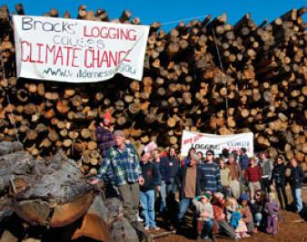 Environmentalists to Televise Mock Trial for ‘Ecocide’