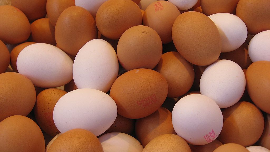 Fact Check: Were ‘Over 200 Million Eggs Recalled … Due To Salmonella Concerns’?