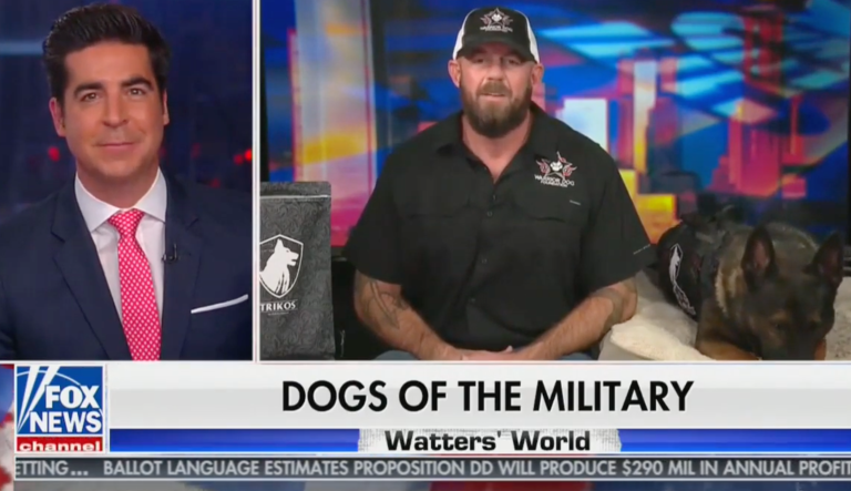 WATCH: Fox host cracks up as guest utters, ‘Epstein didn’t kill himself’