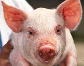 Coburn Introduces Earmark Reform Bill in Response to Obama SOTU Call