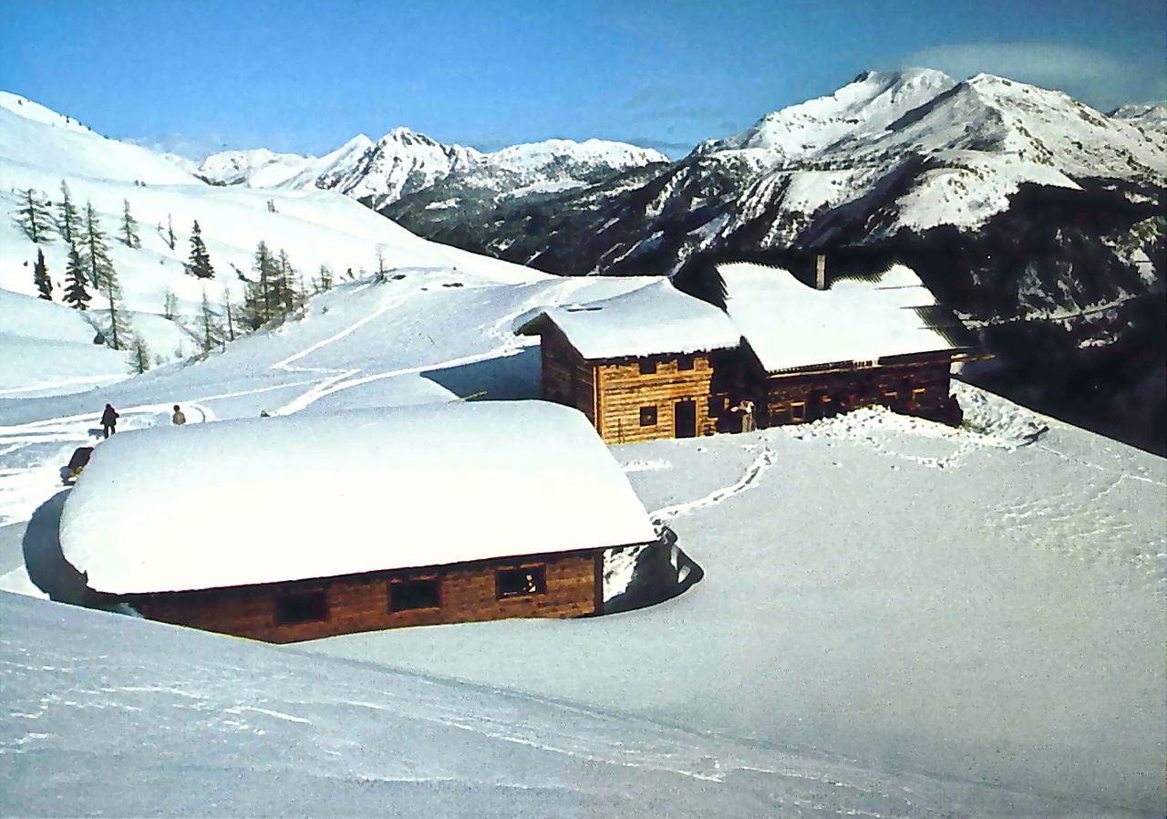 Prufrock: Books in an Era of Trump, the Attraction of Snow, and How the British Empire Influenced Wine-Making